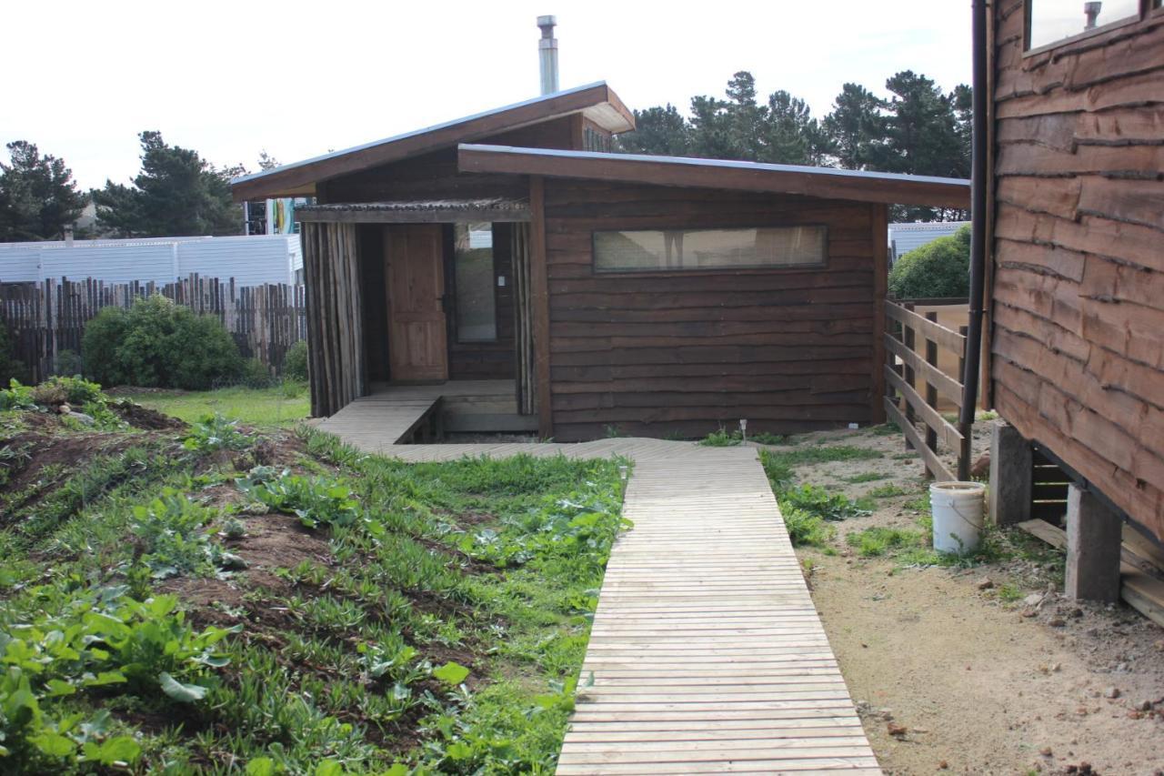 Cabanas Grulla Pichilemu Exteriér fotografie