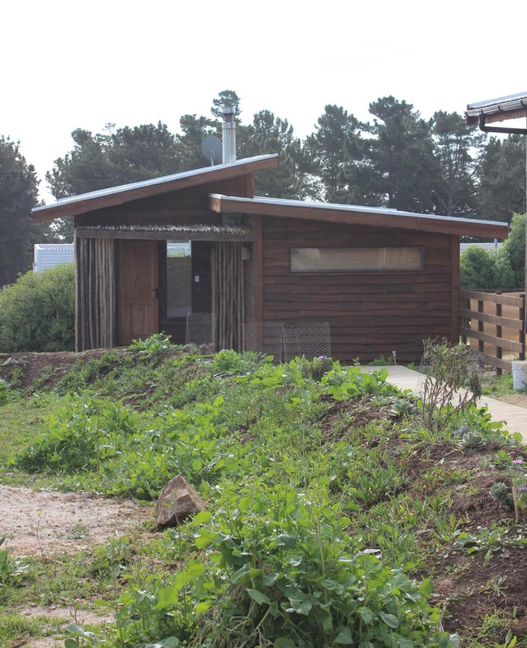 Cabanas Grulla Pichilemu Exteriér fotografie