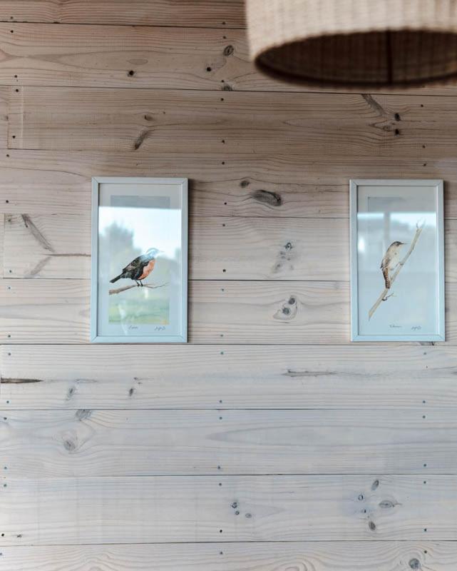 Cabanas Grulla Pichilemu Exteriér fotografie
