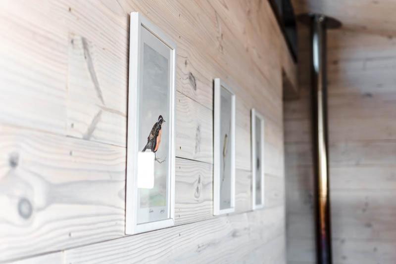 Cabanas Grulla Pichilemu Exteriér fotografie